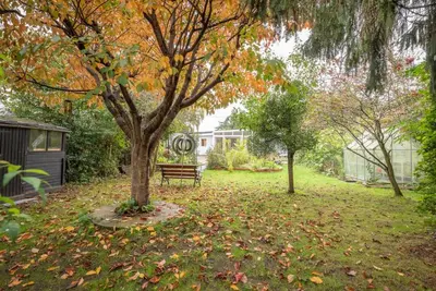 a park with a bench under a tree with leaves on the ground at The Whins, Aldringham in Aldringham