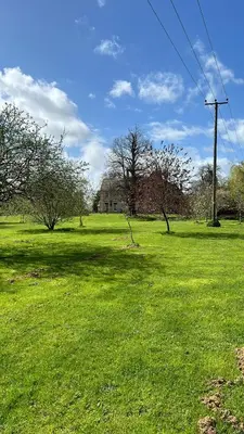 a field of green grass with trees in it at Cockayne Hatley Hall in Cockayne Hatley