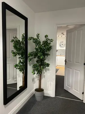 a mirror on a wall next to a plant at The Nook - Town Centre Apartment in Hoddesdon