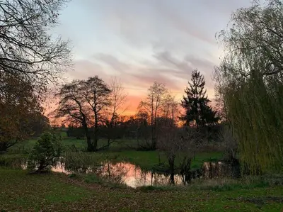 a sunset over a pond in a field with trees at Tasburgh - Farthings in Norwich
