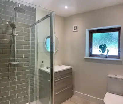 a bathroom with a shower and a toilet and a sink at Tasburgh - Farthings in Norwich