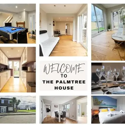 The Palm Tree House
