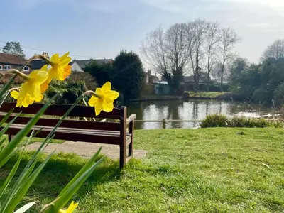 a bench in a park with flowers and a pond at Caines Cottage in Saxmundham