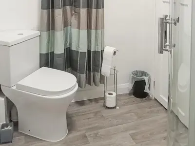 a bathroom with a toilet and a shower curtain at Ivy Rose Cottage in Ipswich