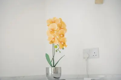 a vase filled with yellow flowers on a counter at Charming Family-Friendly 3-Bedroom House with Parking & Spacious Garden in Milton