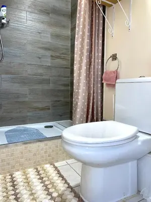 a bathroom with a white toilet and a shower at Penn Gardens Standard Room - 4 in Friern Barnet
