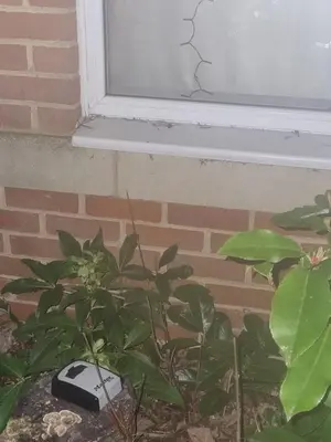 a computer monitor sitting on a plant next to a window at The Pringle Inn in Great Baddow