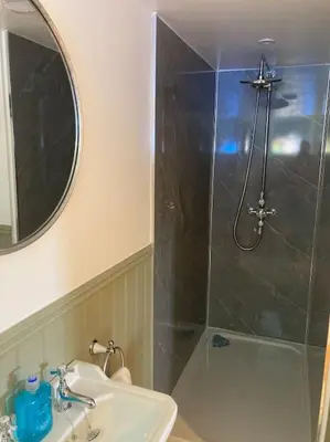 a bathroom with a shower and a sink and a mirror at Wood Lodge in Bungay