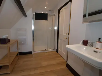 a bathroom with a white sink and a shower at Top Deck at The Cabin in Fornham Saint Martin