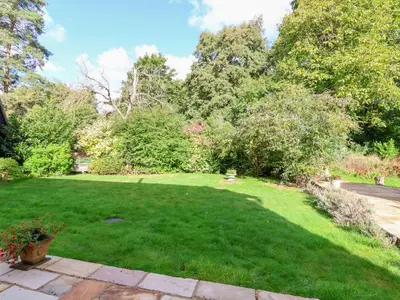 a yard with green grass and trees at Brook Lodge in Ipswich