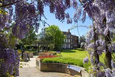 a garden with purple flowers in front of a building at Colchester Retreat 4br 2bath Ample Street Parking in Colchester