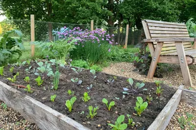 a garden with a wooden bench and some plants at Potton Hall in Saxmundham