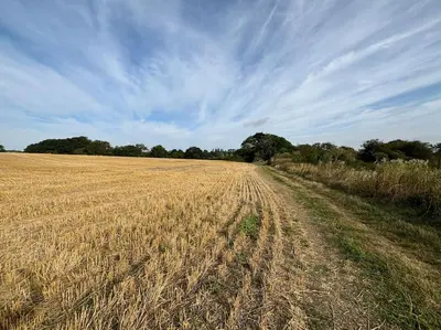 a field of dry grass with a dirt road at Little Brook Retreat in Chelmsford