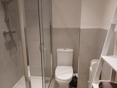 a bathroom with a toilet and a shower at Woodlands Peaceful Bedrooms in Hemingford Grey