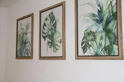 three framed pictures of plants on a wall at Colchester town and castle modern flat with kitchen & private parking in Hythe