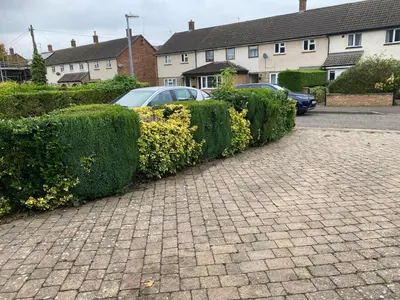 a row of bushes with cars parked in a driveway at Warm and Homely 4 Bed house w big Garden & Parking in Milton