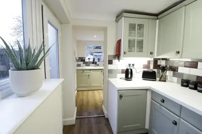 a kitchen with white cabinets and a potted plant at Stylish & Cosy Stay 2-Bed House Train Station Hospital Garden Fast WiFi in Colchester
