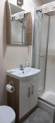 a bathroom with a white sink and a shower at Amazing Lodge with Hot Tub in Stowmarket