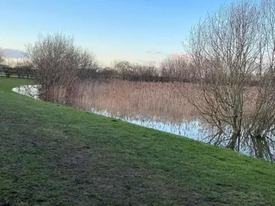 a river in a field next to a grassy field at 15th Century Thatched Cottage in Cambridge