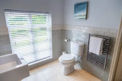 a bathroom with a toilet and a sink and a window at Hill House Norfolk in Saxlingham Nethergate