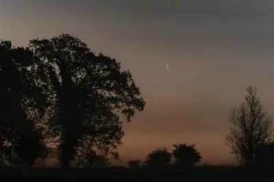 a tree and a moon in a cloudy sky at Maglia Rosso by Wigwam Holidays in Bury Saint Edmunds