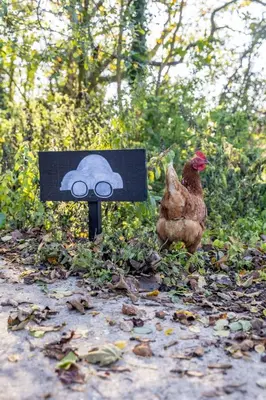 a chicken standing next to a sign with a cloud at Bramley Cabin Suffolk Relaxing Getaway in Woodbridge