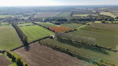 an aerial view of a field with crops at Bramley Cabin Suffolk Relaxing Getaway in Woodbridge