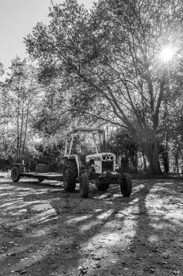 a tractor pulling a trailer in front of a tree at Bramley Cabin Suffolk Relaxing Getaway in Woodbridge