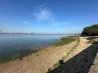 a beach with water and trees on the shore at Inishnee House in Ipswich