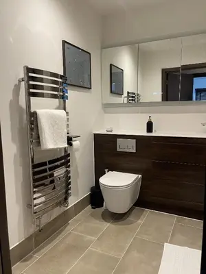 a bathroom with a toilet and a large mirror at The Comfort, with Free Parking, Harlow in Harlow