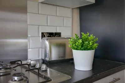 a potted plant sitting on top of a kitchen counter at Homely Apartment in Harlow in Great Parndon