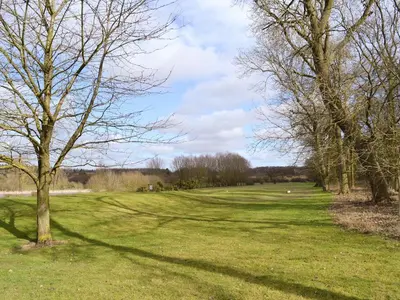 a tree in the middle of a grassy field at Evie Rose Cottage in Elsenham