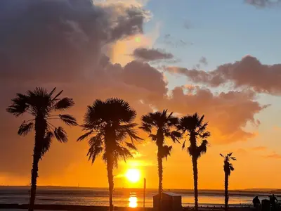a group of palm trees in front of a sunset at Artsy Minimalist Suite in Southend-on-Sea