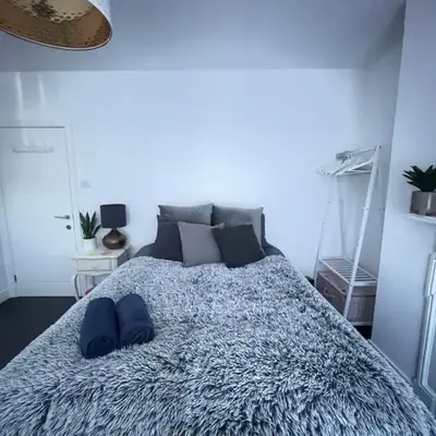 Artsy Minimalist Suite