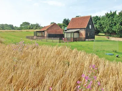 a couple of buildings in a field with grass at Carol's Cottage - E3043 in Blyford