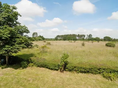 a field of grass with a tree in the middle at Field Cottage in Sudbourne