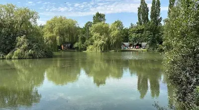 a river with trees in the middle of it at Marie Helene, 58 Mallard Carlton Meres Holiday Park in Kelsale