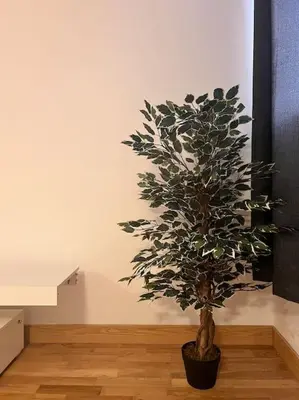 a potted plant sitting on a wooden floor in a room at Serenity-ESE Entire Home in Basildon