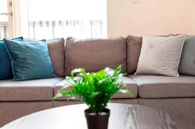 a couch with pillows and a table with a plant at 54 Woodpecker Way · Modern apartment near Addenbrookes Free parking Pass the Keys in Cambridge
