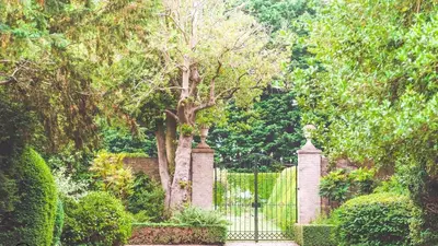 a gate in a garden with trees and bushes at Hockwold Hall - Former Royal residence in Hockwold cum Wilton