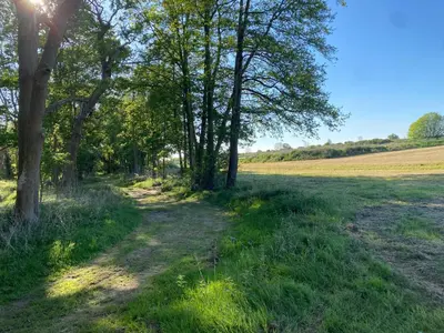 a field with trees and a dirt road at Paddock View - Snetterton Norfolk in Norwich