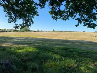 a field of grass with a tree in the foreground at Paddock View - Snetterton Norfolk in Norwich