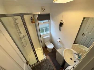 a bathroom with a shower and a sink and a toilet at Paddock View - Snetterton Norfolk in Norwich