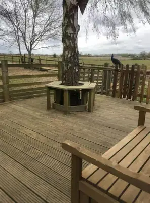 a wooden deck with a tree and a bench at The Duckhouse in Great Horkesley