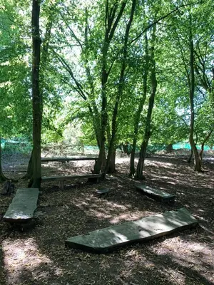 a park with benches and trees in the woods at Hertford farm Woodland cabin pet friendly firepit bbq in Hertford