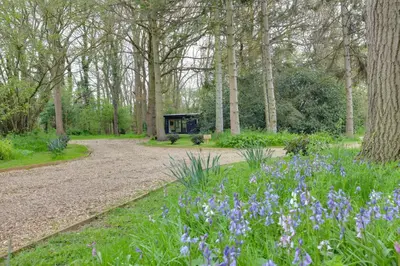 a garden with purple flowers in front of a building at The Woods - Luxury cabin in a woodland setting in Hatfield Broad Oak