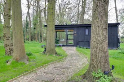 a house in the woods with a stone path leading to it at The Woods - Luxury cabin in a woodland setting in Hatfield Broad Oak