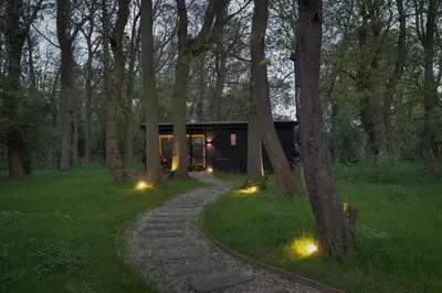 a cabin in the woods with lights in the grass at The Woods - Luxury cabin in a woodland setting in Hatfield Broad Oak