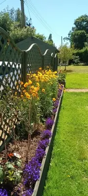a garden with colorful flowers next to a bench at Compass Barn, Wenhaston in Wenhaston
