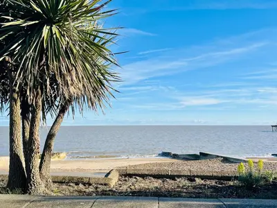 a palm tree on the beach next to the ocean at 4-Bedroom House 5 mins to Beach & Parking in Felixstowe